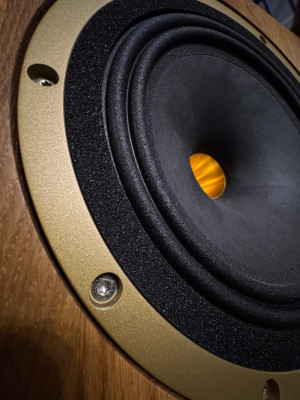 WhatsApp Image 2025-12-05 at 15.21.19 (13).jpeg