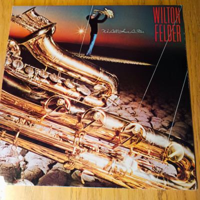 WILTON FELDER WE ALL HAVE A STAR.jpg