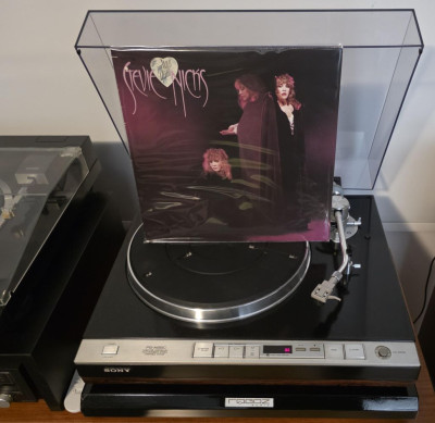 Stevie Nicks – The Wild Heart (GER 1983).jpg