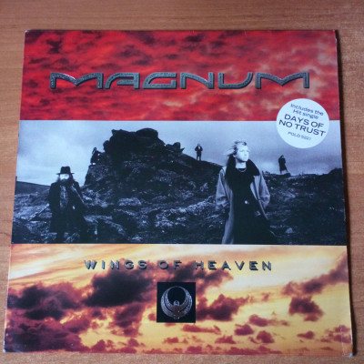 Magnum Wings Of Heaven.JPG