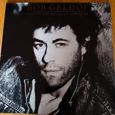 BOB GELDOF DEEP IN THE HEART OF NOWHERE II.jpeg