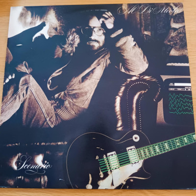 AL DI MEOLA SCENARIO.jpg