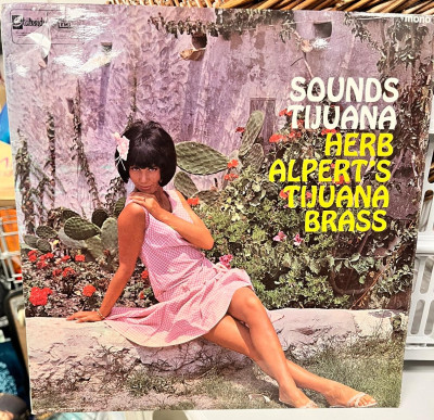 WhatsApp Image 2026-01-20 at 18.20.16.jpg