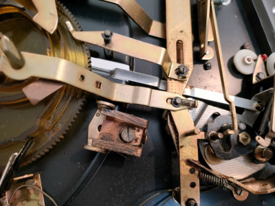 IMG20250731190155 (1280x960).jpg