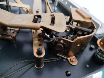 IMG20250724190941 (1280x960).jpg