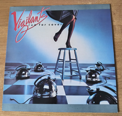 Vigilants Run For Cover.jpg