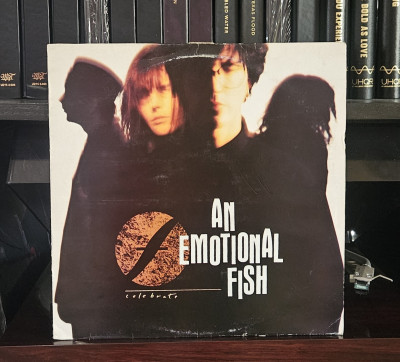 20260326_173000.jpg