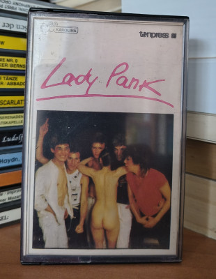 Lady Pank.jpg