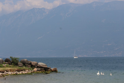IMG_5868.JPG
