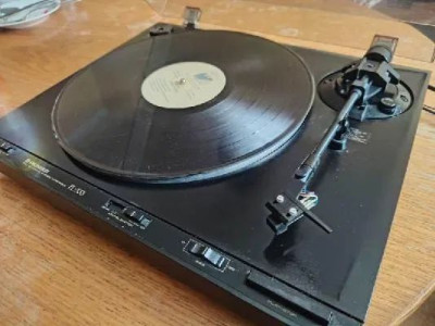 pioneer.jpg