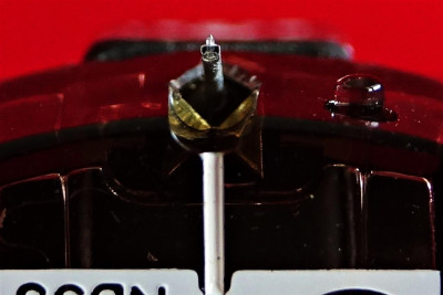 DSC01902_cr.jpg