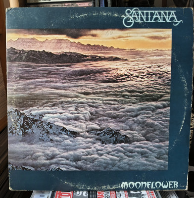 Santana Moonflower.jpg