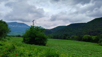 IMG_20260604_135453679_HDR_AE.jpeg