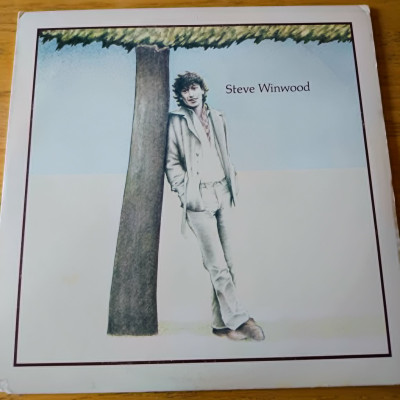STEVE WINWOOD.jpg