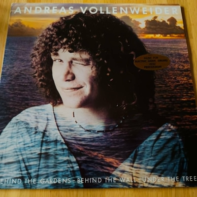 ANDREAS VOLLENWEIDER BEHIND THE GARDENS.jpg