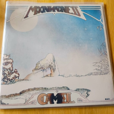 CAMEL MOONMADNESS.jpg
