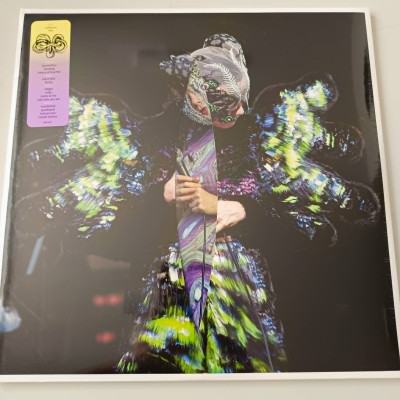 BJORK VULNICURA LIVE.jpg