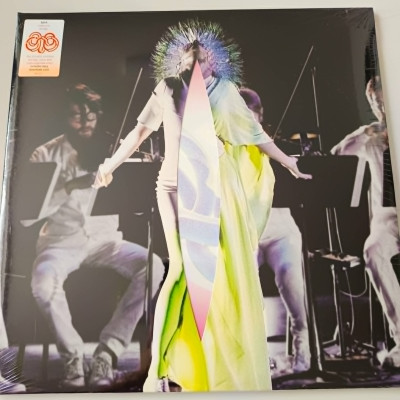 BJORK VULNICURA STRING.jpg