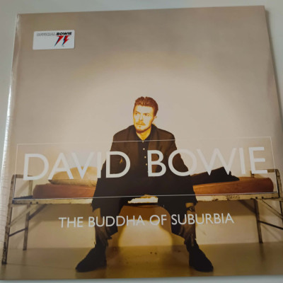 DAVID BOWIE THE BUDDHA OF SUBURBIA.jpg