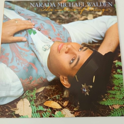 NARADA MICHAEL WALDEN.jpg