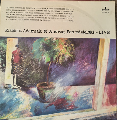 E. Adamiak i A. Poniedzielski Live.jpg