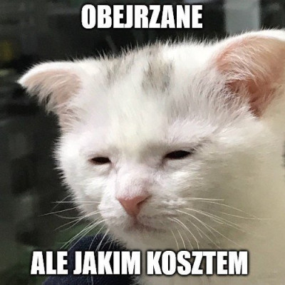 POlska BiH.jpg