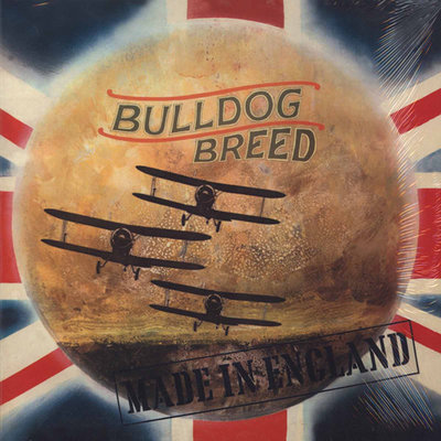 bulldog breed.jpg