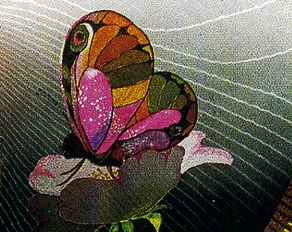 fot1.jpg