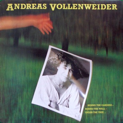Vollenweider-Behind The Gardens.jpg