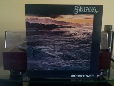 20160814_134608.jpg
