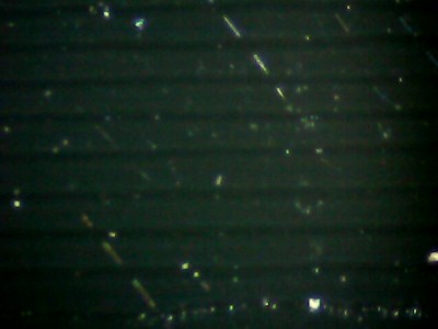 przedx80.jpg