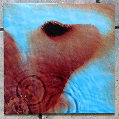 Pink Floyd - Meddle 0.jpg