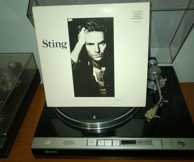 Sting - ...Nothing Like The Sun (UK 1987).jpg