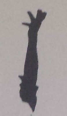 20161125_145027.jpg