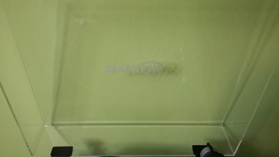 IMG_20170130_173308.jpg