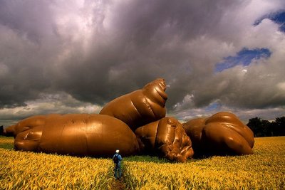 poop.jpg