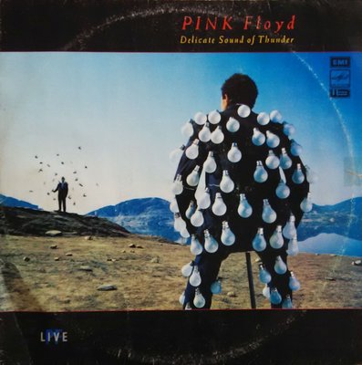 Pink Floyd - Delicate Sound Of Thunder.jpg
