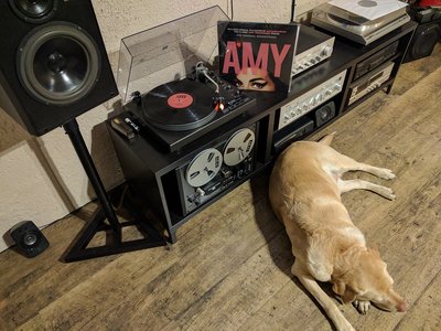 amy.jpg