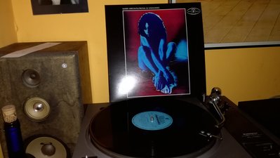 IMG_20170324_115828.jpg