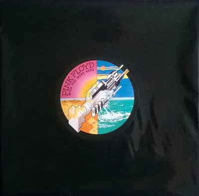 Pink Floyd - Wish You...01.jpg