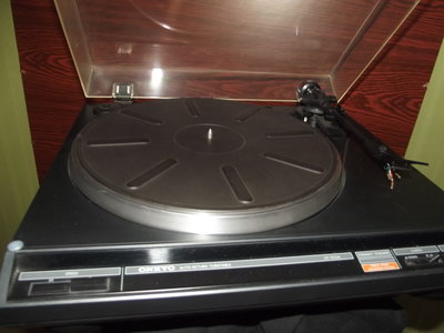DSCF7090.JPG