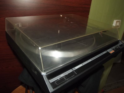 DSCF7093.JPG