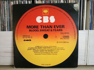 Blood, Sweat & Tears - More Than Ever.jpg