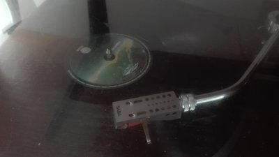 IMG_20170423_154537.jpg
