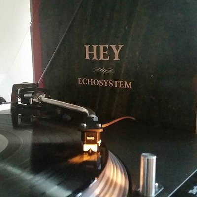 hey echosystem.jpg