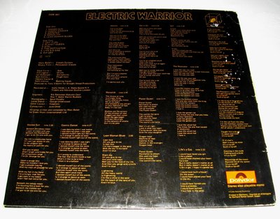 T.REX Electric WarRIOR B.jpg