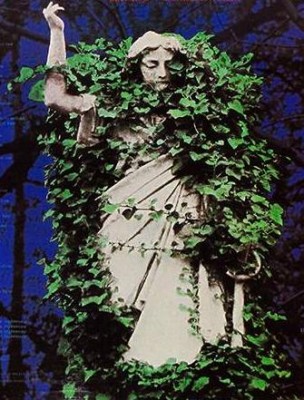 W1.jpg