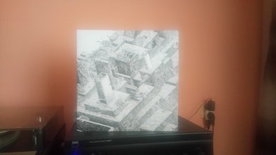 DSC_0113.JPG