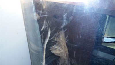 resized_20170610_211706.jpg