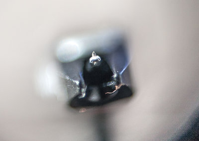 _MG_9796.jpg